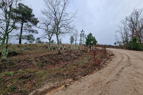Helårsgrund i Guarda, Guarda, Guarda - € 35.000 | Ref: 046240312 - foto 4