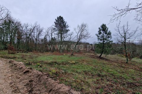 Helårsgrund i Guarda, Guarda, Guarda - € 35.000 | Ref: 046240312 - foto 8
