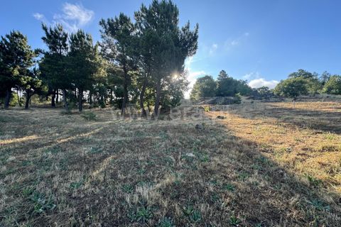 Helårsgrund i Guarda, Guarda, Guarda - € 35.000 | Ref: 046240312 - foto 3
