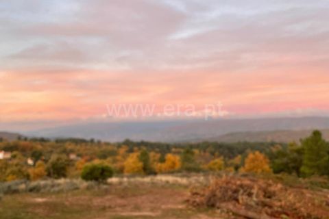 Helårsgrund i Guarda, Guarda, Guarda - € 35.000 | Ref: 046240312 - foto 15