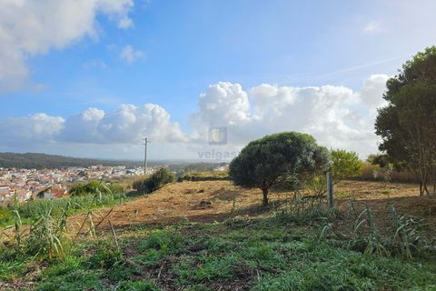 Helårsgrund i Foz do Arelho, Leiria, Foz do Arelho - € 175.000 | Ref: CAL-216688 - foto 5