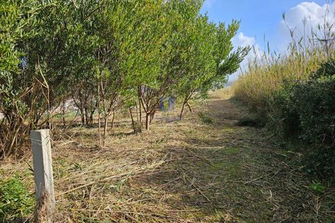 Helårsgrund i Foz do Arelho, Leiria, Foz do Arelho - € 175.000 | Ref: CAL-216688 - foto 8