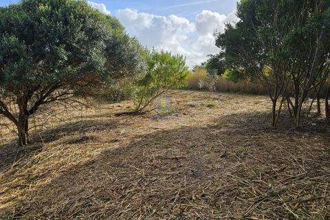 Helårsgrund i Foz do Arelho, Leiria, Foz do Arelho - € 175.000 | Ref: CAL-216688 - foto 17