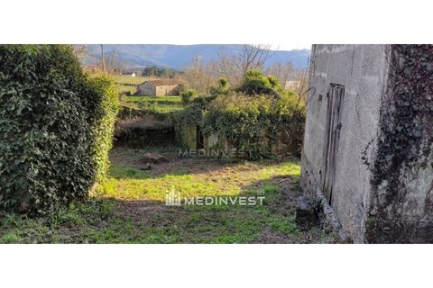 Farm i Cavez, Braga, Cavez - € 159.500 | Ref: MAS_115 - foto 10