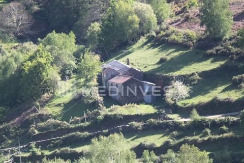 Farm i Boticas, Vila Real, Boticas - € 35.000 | Ref: CER.014 - foto 2