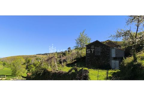 Farm i Boticas, Vila Real, Boticas - € 35.000 | Ref: CER.014 - foto 6
