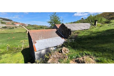 Farm i Boticas, Vila Real, Boticas - € 35.000 | Ref: CER.014 - foto 10