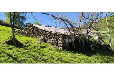 Farm i Boticas, Vila Real, Boticas - € 35.000 | Ref: CER.014 - foto 13