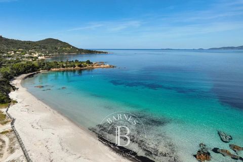 Villa i Coti-Chiavari, Corse-du-Sud, Coti-Chiavari - € 2.950.000 | Ref: RV1737 - foto 21