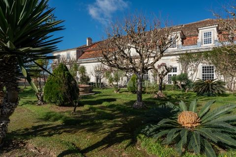 Farm i Torres Vedras, Lisbon, Torres Vedras - € 4.500.000 | Ref: PROP-031708 - foto 30
