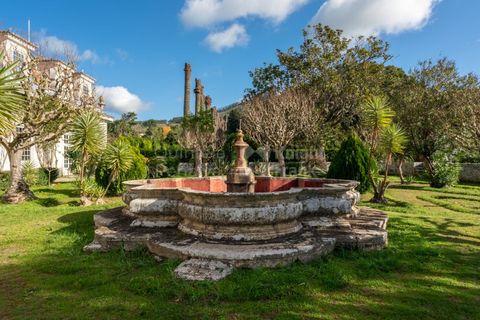 Farm i Torres Vedras, Lisbon, Torres Vedras - € 4.500.000 | Ref: PROP-031708 - foto 33