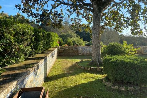 Farm i Torres Vedras, Lisbon, Torres Vedras - € 4.500.000 | Ref: PROP-031708 - foto 34