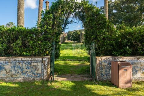 Farm i Torres Vedras, Lisbon, Torres Vedras - € 4.500.000 | Ref: PROP-031708 - foto 36