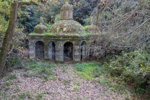 Farm i Torres Vedras, Lisbon, Torres Vedras - € 4.500.000 | Ref: PROP-031708 - foto 40