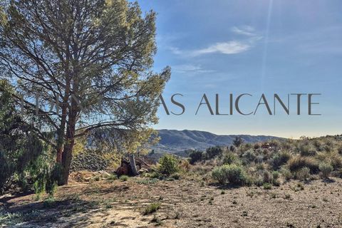 Villa i Busot, Alicante, Busot - € 220.000 | Ref: 01365/8734 - foto 27