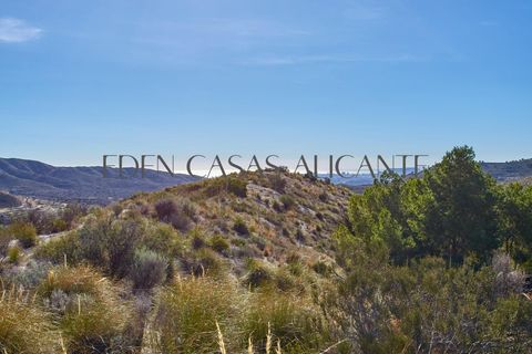 Villa i Busot, Alicante, Busot - € 220.000 | Ref: 01365/8734 - foto 50
