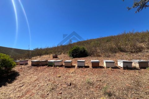Farm i Alvor, Faro, Alvor - € 335.000 | Ref: NU_5650 - foto 24