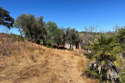 Farm i Alvor, Faro, Alvor - € 335.000 | Ref: NU_5650 - foto 29