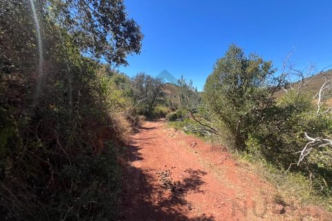 Farm i Alvor, Faro, Alvor - € 335.000 | Ref: NU_5650 - foto 35