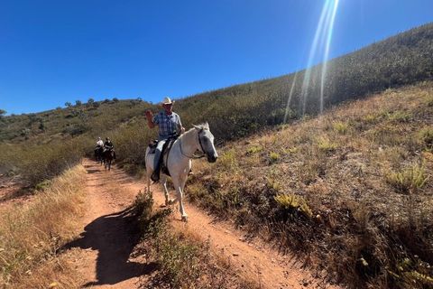 Farm i Alvor, Faro, Alvor - € 335.000 | Ref: NU_5650 - foto 38
