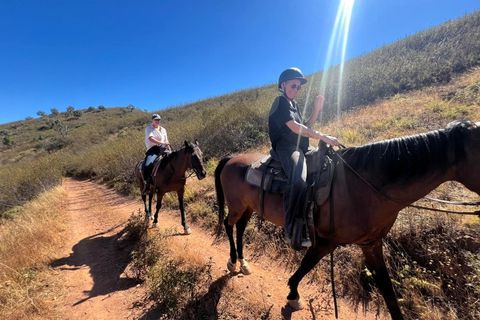 Farm i Alvor, Faro, Alvor - € 335.000 | Ref: NU_5650 - foto 39