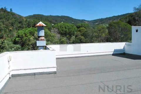 Erhvervsejendom i Monchique, Faro, Monchique - € 1.100.000 | Ref: NU_5721 - foto 46