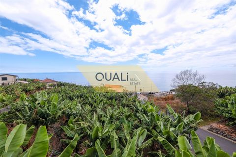 Villa i Ponta do Sol, Madeira, Ponta do Sol - € 3.000.000 | Ref: Q2451 - foto 4