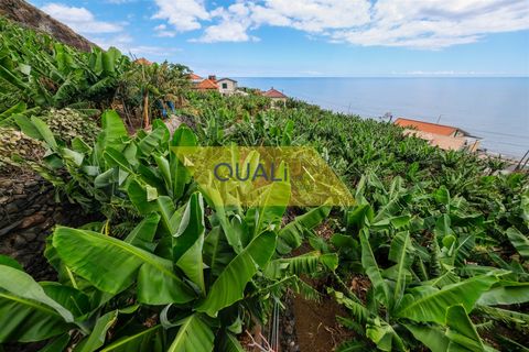 Villa i Ponta do Sol, Madeira, Ponta do Sol - € 3.000.000 | Ref: Q2451 - foto 5