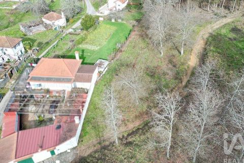 Tomt i Penela, Coimbra, Penela - € 30 000 | Ref: 134736 - foto 2