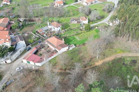 Tomt i Penela, Coimbra, Penela - € 30 000 | Ref: 134736 - foto 4