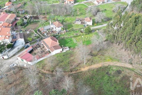 Tomt i Penela, Coimbra, Penela - € 30 000 | Ref: 134736 - foto 5