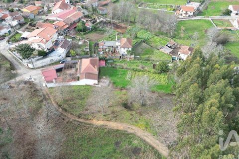Tomt i Penela, Coimbra, Penela - € 30 000 | Ref: 134736 - foto 7