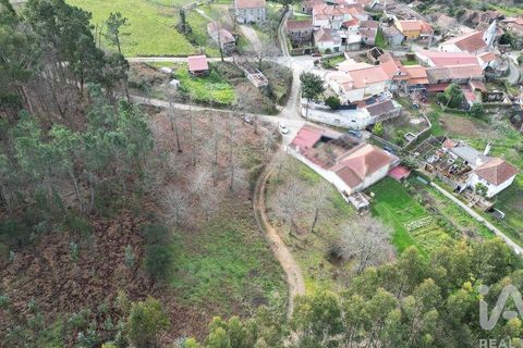 Tomt i Penela, Coimbra, Penela - € 30 000 | Ref: 134736 - foto 9