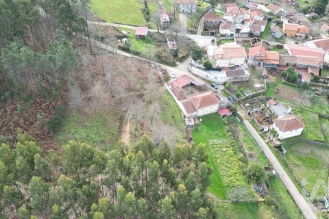 Tomt i Penela, Coimbra, Penela - € 30 000 | Ref: 134736 - foto 10