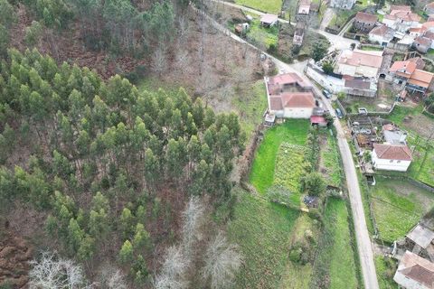 Tomt i Penela, Coimbra, Penela - € 30 000 | Ref: 134736 - foto 11