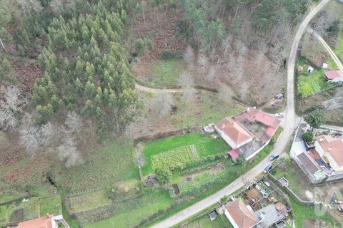 Tomt i Penela, Coimbra, Penela - € 30 000 | Ref: 134736 - foto 15