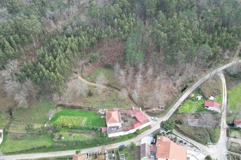 Tomt i Penela, Coimbra, Penela - € 30 000 | Ref: 134736 - foto 17