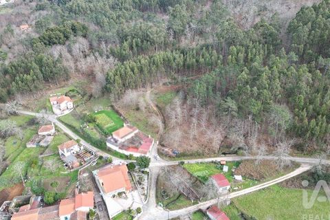 Tomt i Penela, Coimbra, Penela - € 30 000 | Ref: 134736 - foto 19