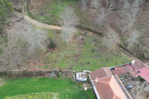 Tomt i Penela, Coimbra, Penela - € 30 000 | Ref: 134736 - foto 20