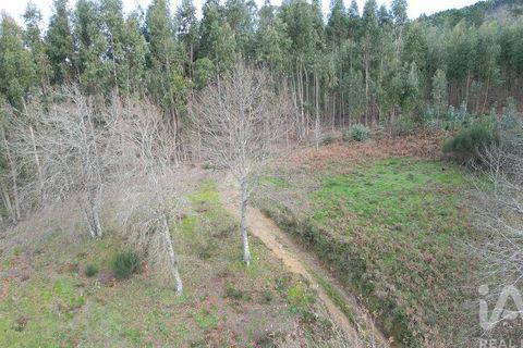 Tomt i Penela, Coimbra, Penela - € 30 000 | Ref: 134736 - foto 21