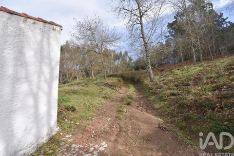 Tomt i Penela, Coimbra, Penela - € 30 000 | Ref: 134736 - foto 22