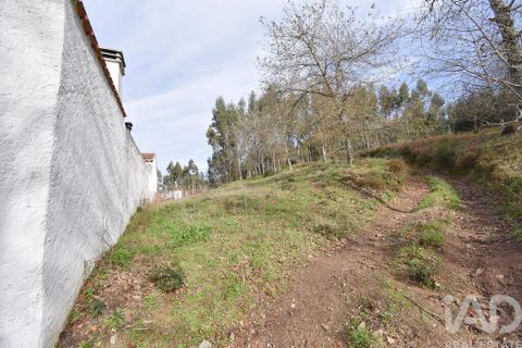 Tomt i Penela, Coimbra, Penela - € 30 000 | Ref: 134736 - foto 23