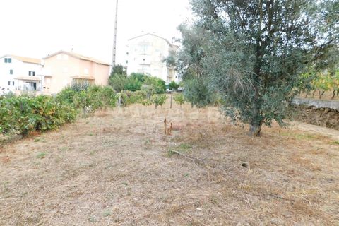 Villa i Seia, Guarda, Seia - € 40.000 | Ref: 382240122 - foto 9