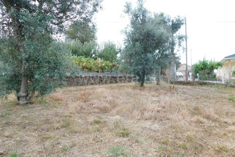 Villa i Seia, Guarda, Seia - € 40.000 | Ref: 382240122 - foto 10