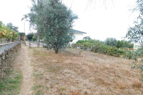 Villa i Seia, Guarda, Seia - € 40.000 | Ref: 382240122 - foto 11