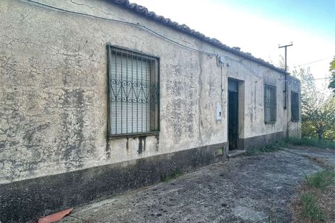 Villa i Belvedere Marittimo, Cosenza, Belvedere Marittimo - € 35.000 | Ref: 443 - foto 3