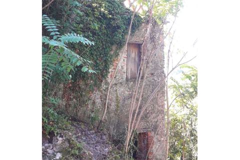 Villa a Cetraro, Cosenza, Cetraro - € 32.000 | Ref: 516 - foto 8