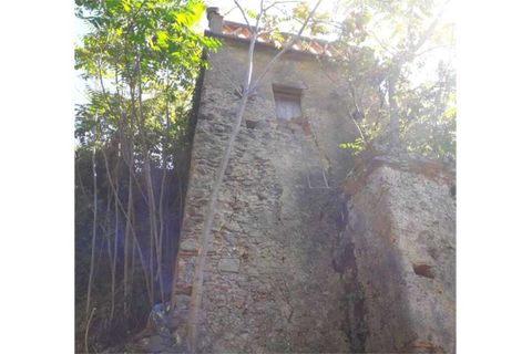 Villa a Cetraro, Cosenza, Cetraro - € 32.000 | Ref: 516 - foto 9