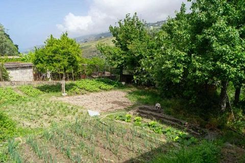 Lejlighed i Cetraro, Cosenza, Cetraro - € 90.000 | Ref: 551 - foto 14