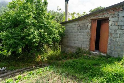 Lejlighed i Cetraro, Cosenza, Cetraro - € 90.000 | Ref: 551 - foto 16